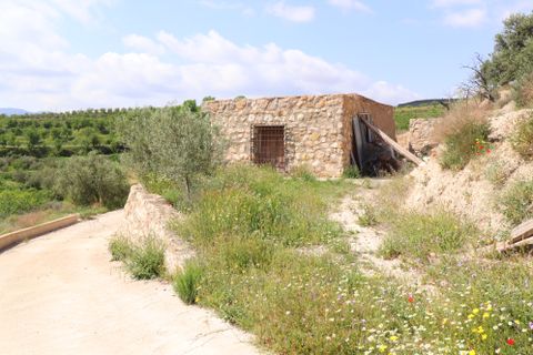 Landejendom i Velez-Blanco, Almeria, Velez-Blanco - € 349.000 | Ref: 3052-CH - foto 47
